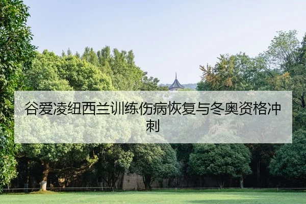 谷爱凌纽西兰训练伤病恢复与冬奥资格冲刺